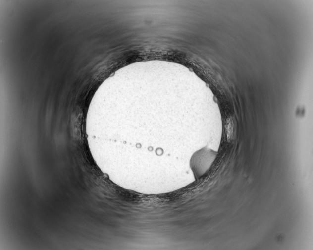 X0000103451059200810101123