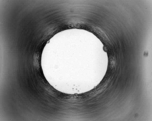 X0000103451060200810101123