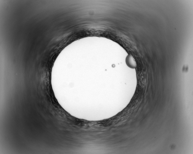 X0000103451061200810101123