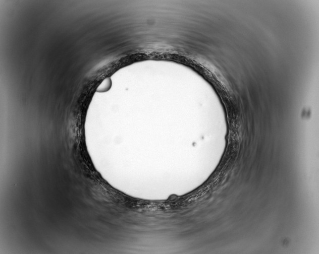 X0000103451063200810101123