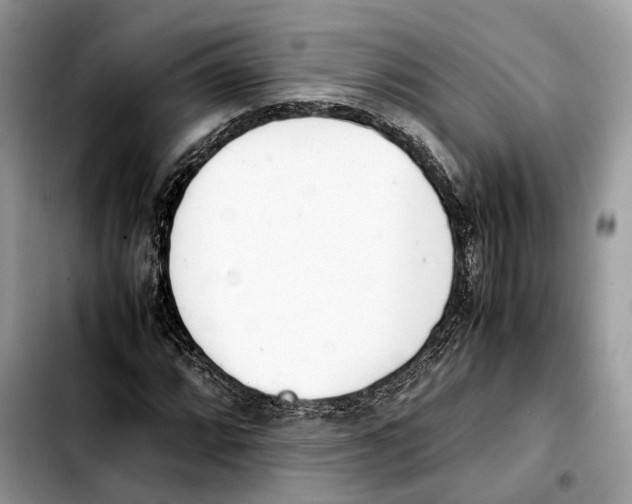 X0000103451064200810101123