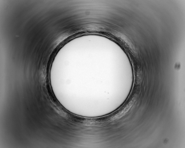 X0000103451065200810101123