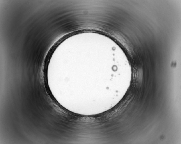 X0000103451068200810101122