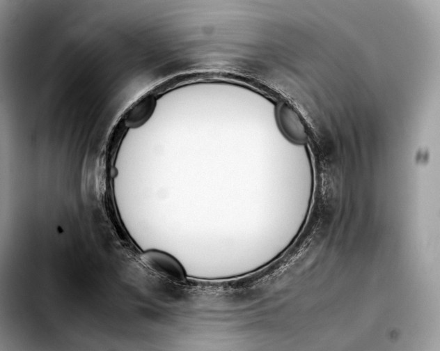 X0000103451069200810101122