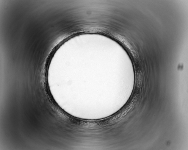 X0000103451071200810101122