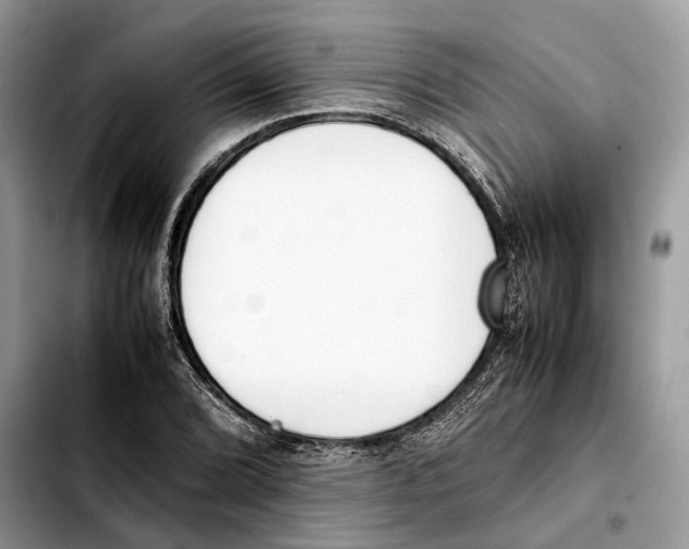 X0000103451072200810101122