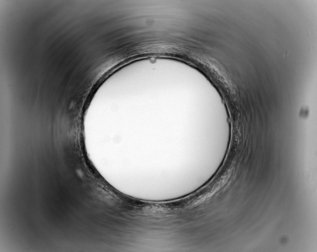 X0000103451073200810101122