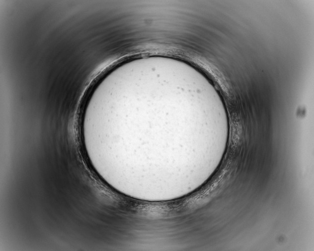 X0000103451074200810101122