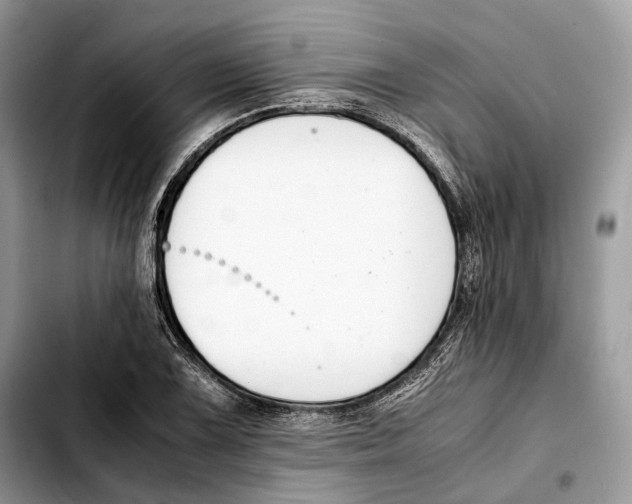 X0000103451075200810101122