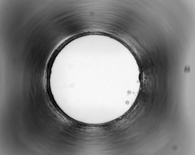 X0000103451076200810101122