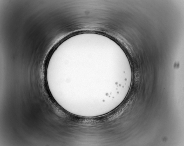 X0000103451077200810101122