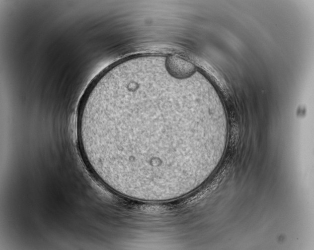 X0000103451079200810101122