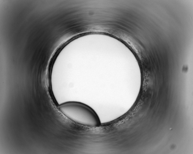 X0000103451080200810101122