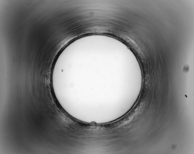 X0000103451081200810101122