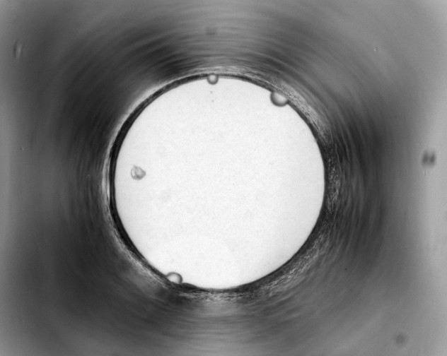 X0000103451084200810101122