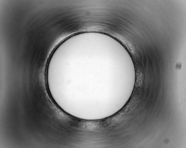 X0000103451086200810101122