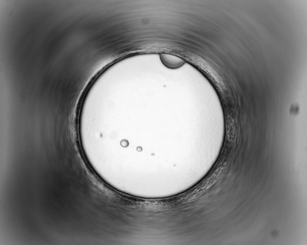 X0000103451087200810101122