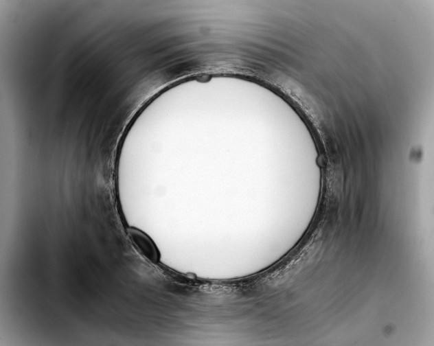 X0000103451089200810101122