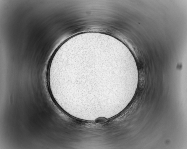 X0000103451091200810101122