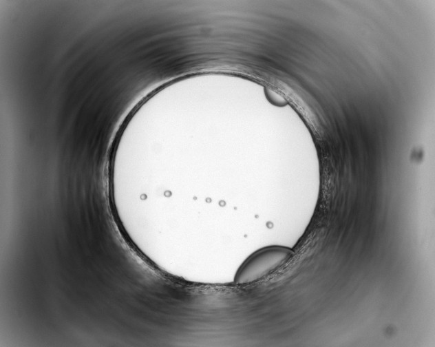 X0000103451092200810101122