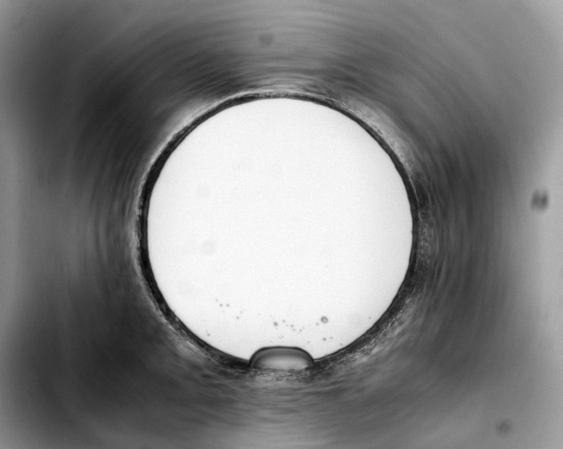 X0000103451093200810101122