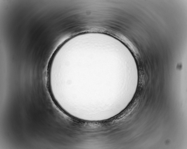 X0000103451095200810101122