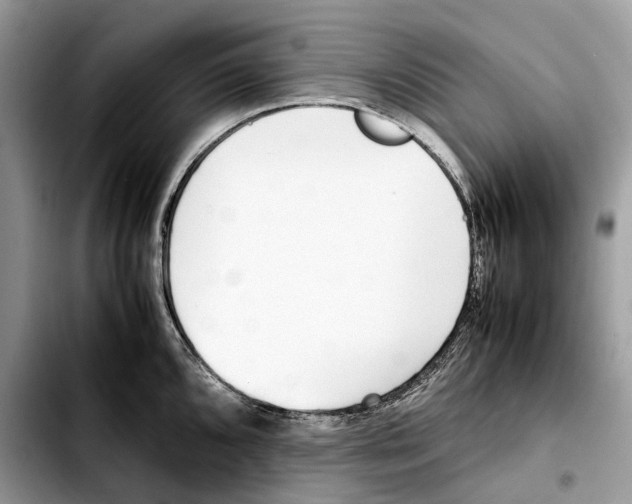 X0000103451096200810101122