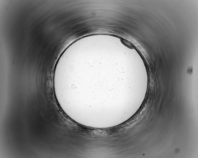 X0000103451097200810101122