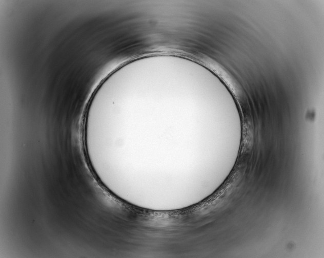 X0000103451098200810101122