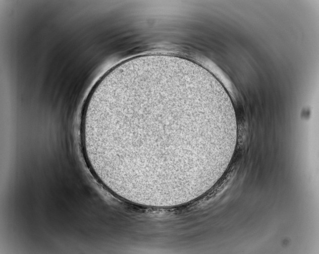 X0000103451099200810101122