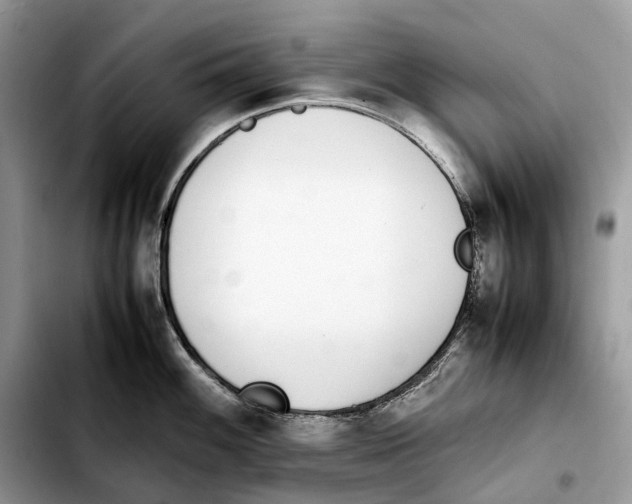 X0000103451100200810101122