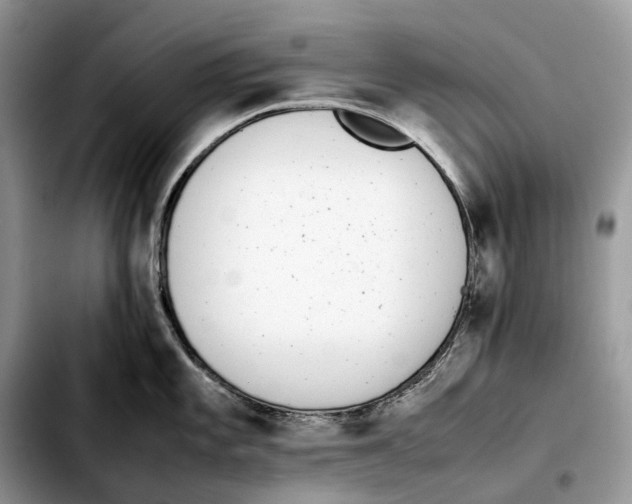 X0000103451101200810101122