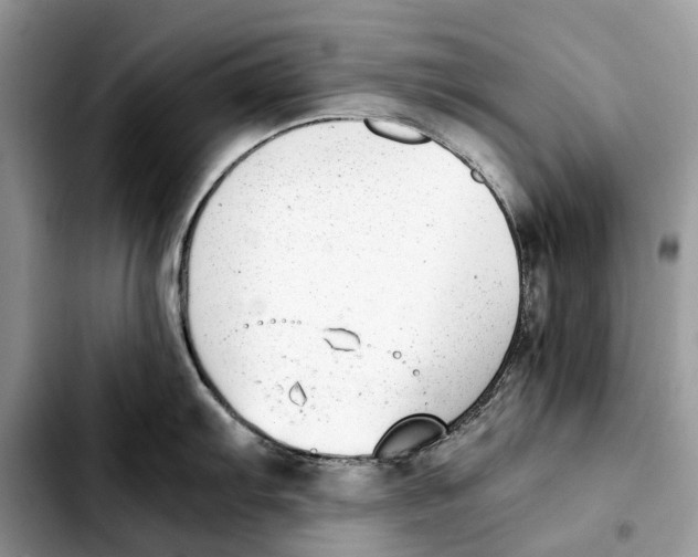 X0000103451103200810101122