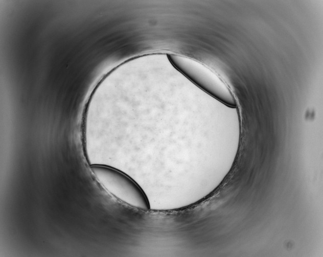 X0000103451104200810101122