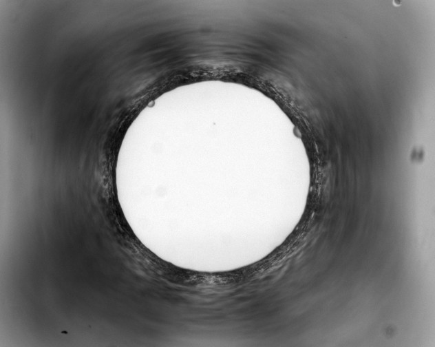 X0000103451109200810101121