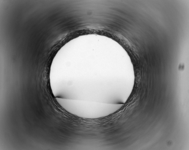 X0000103451110200810101121