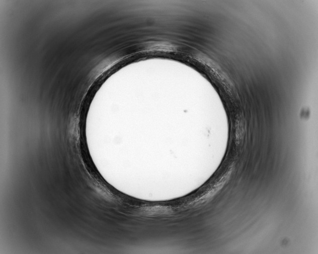 X0000103451113200810101121