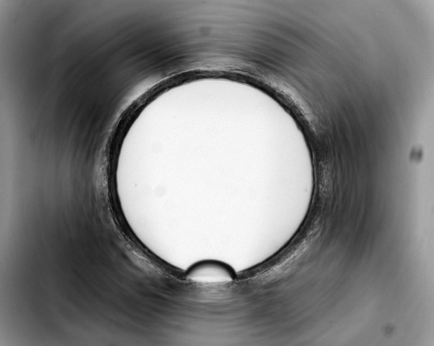 X0000103451114200810101121