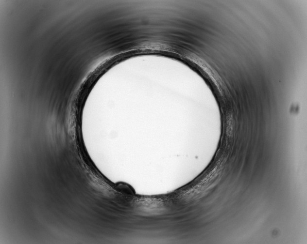 X0000103451115200810101121