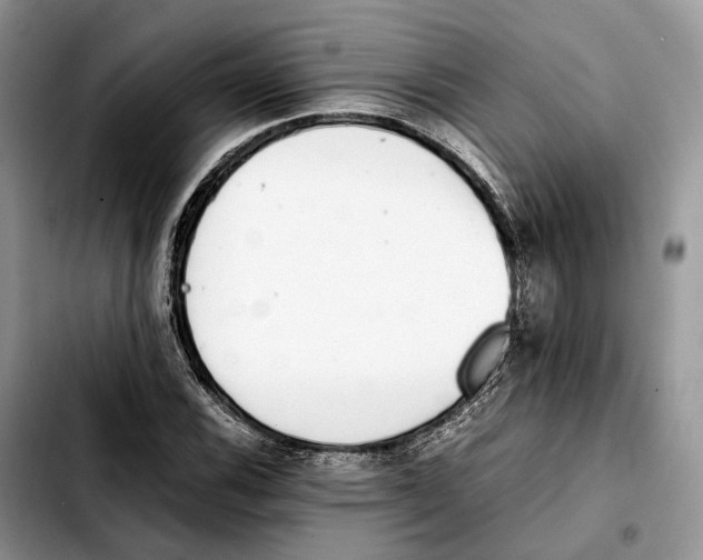 X0000103451116200810101121