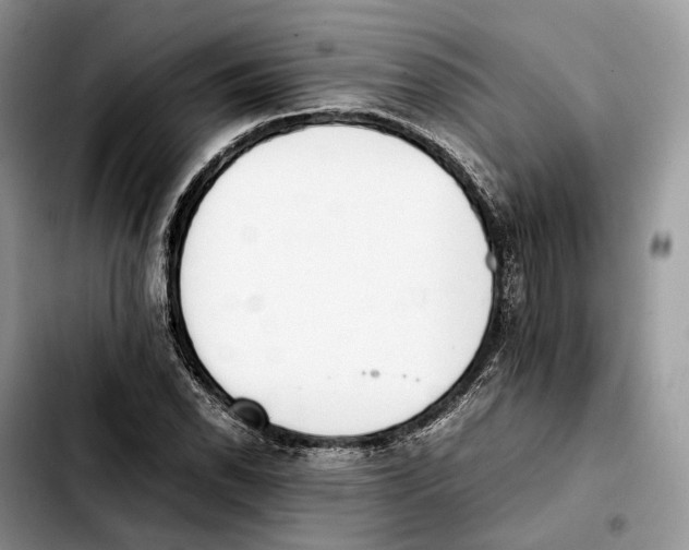 X0000103451118200810101122