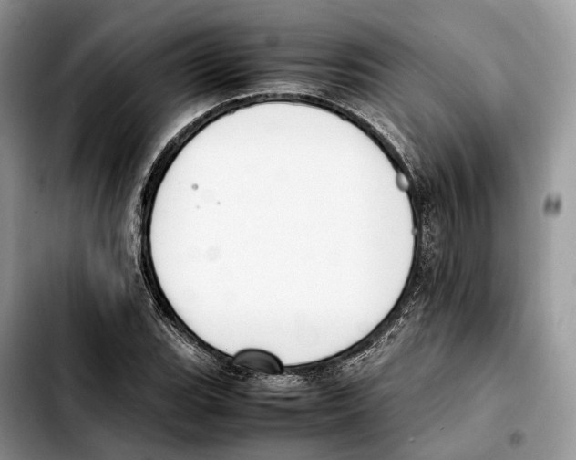 X0000103451119200810101122