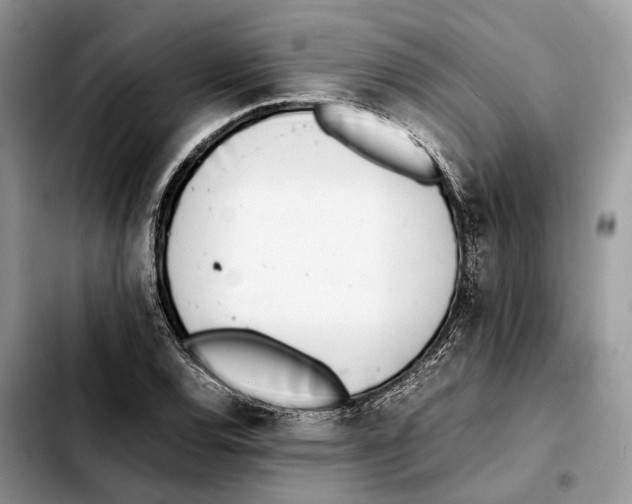 X0000103451120200810101122