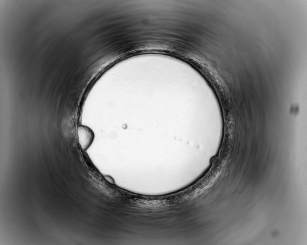 X0000103451121200810101122