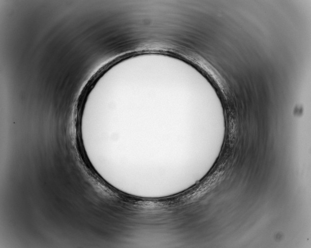 X0000103451124200810101122