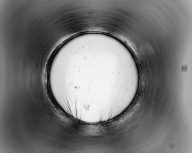 X0000103451125200810101122