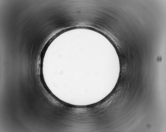 X0000103451126200810101122