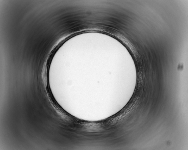 X0000103451127200810101122