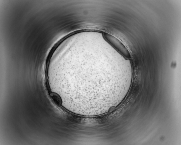 X0000103451128200810101122