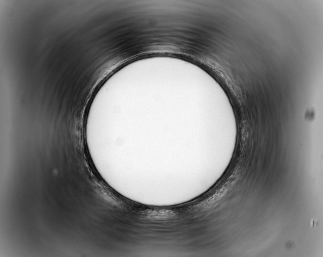 X0000103451129200810101122